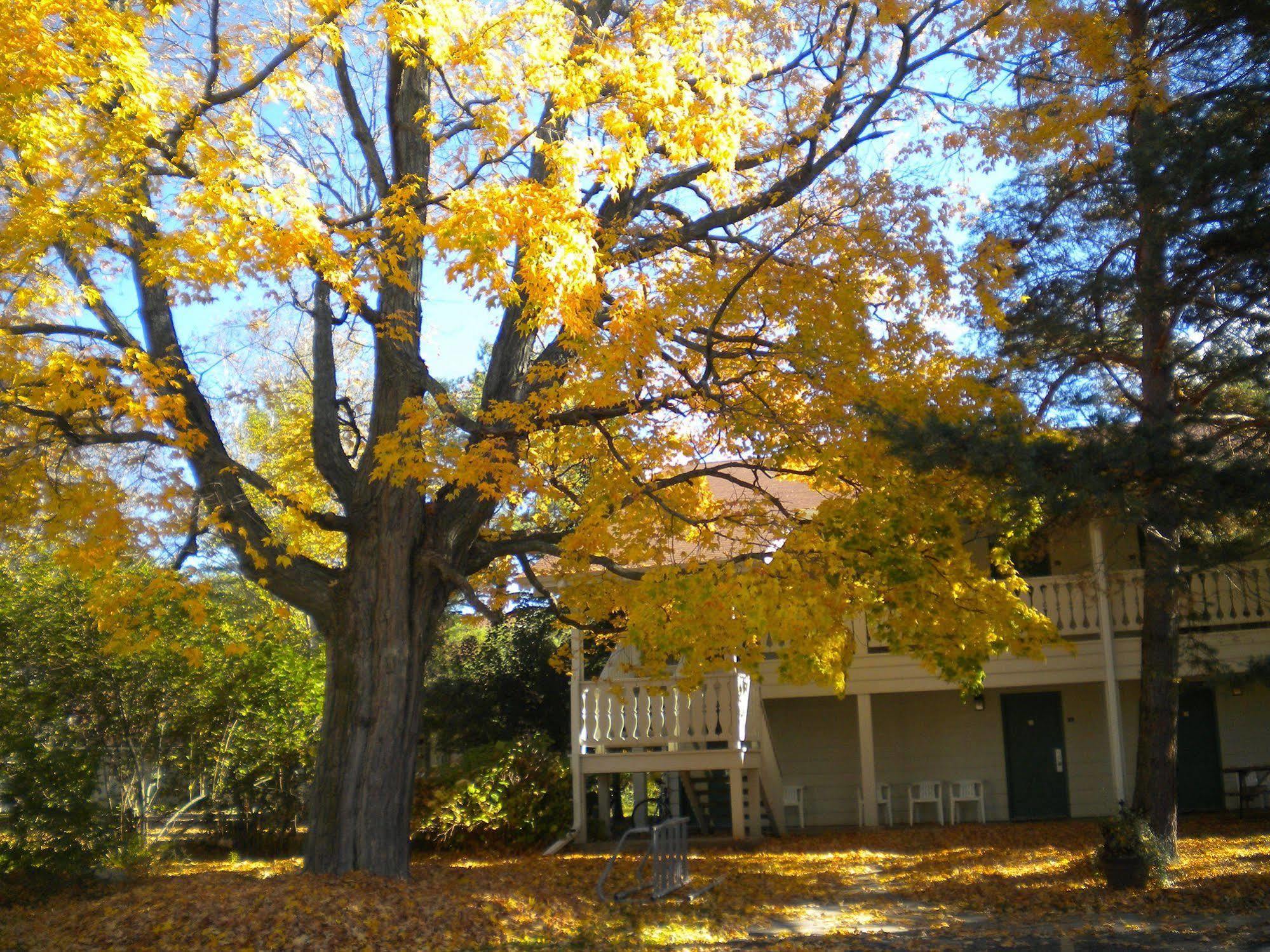 פיש קריק Parkwood Lodge מראה חיצוני תמונה